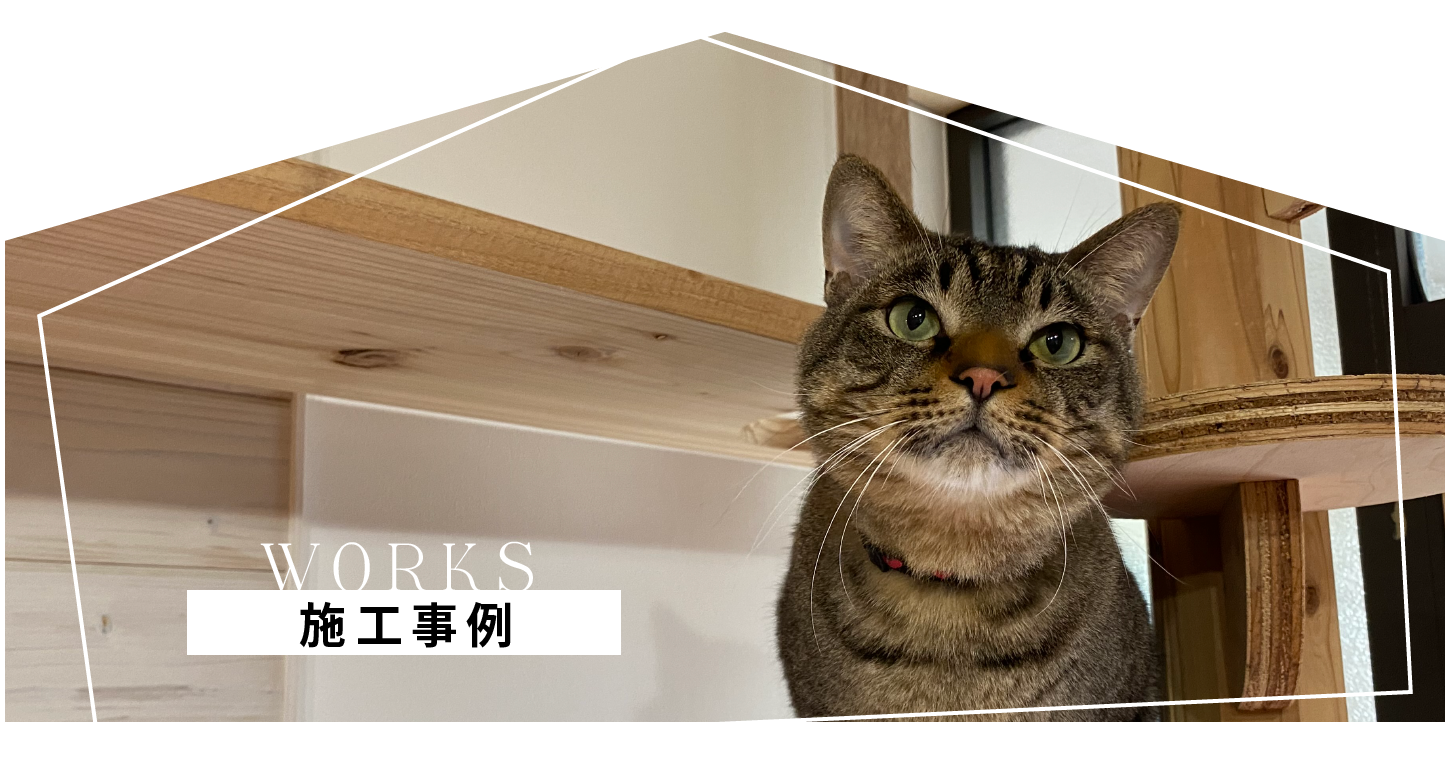 半屋外の遊び場”キャティオ”登場