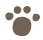 猫のあしあと