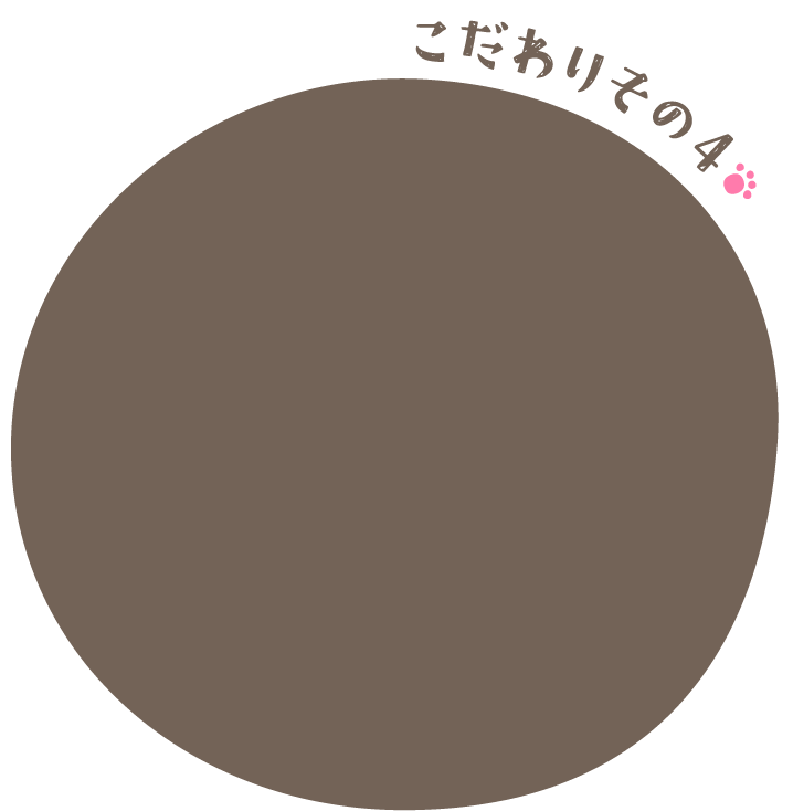 猫ちゃん